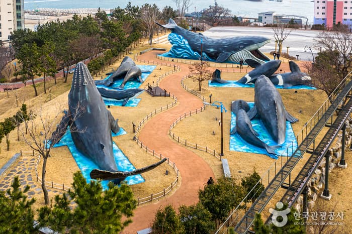 장생포 고래문화마을 반려견 동반 장소 이미지