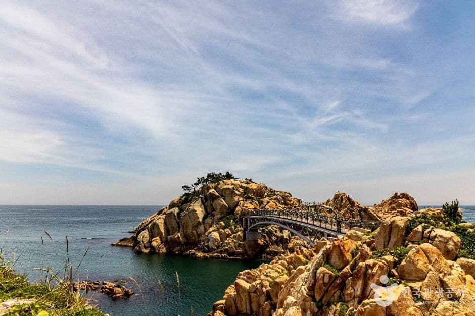 대왕암공원 반려견 동반 장소 이미지
