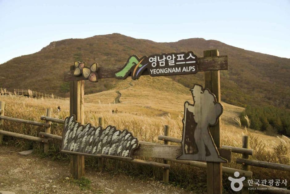 간월재 반려견 동반 장소 이미지