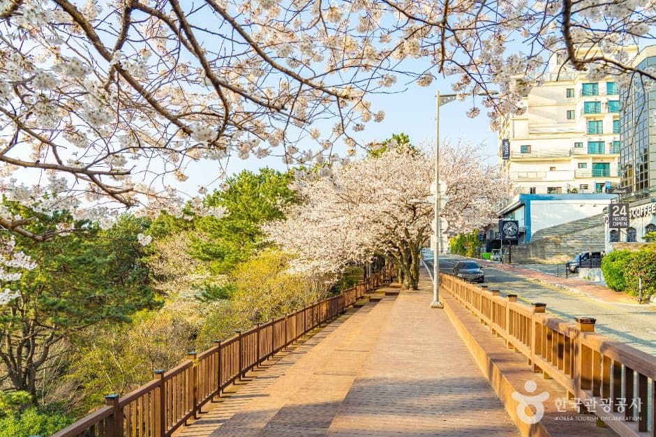 문탠로드 반려견 동반 장소 이미지