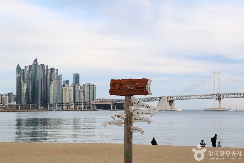 광안리해변 테마거리 반려견 동반 장소 이미지