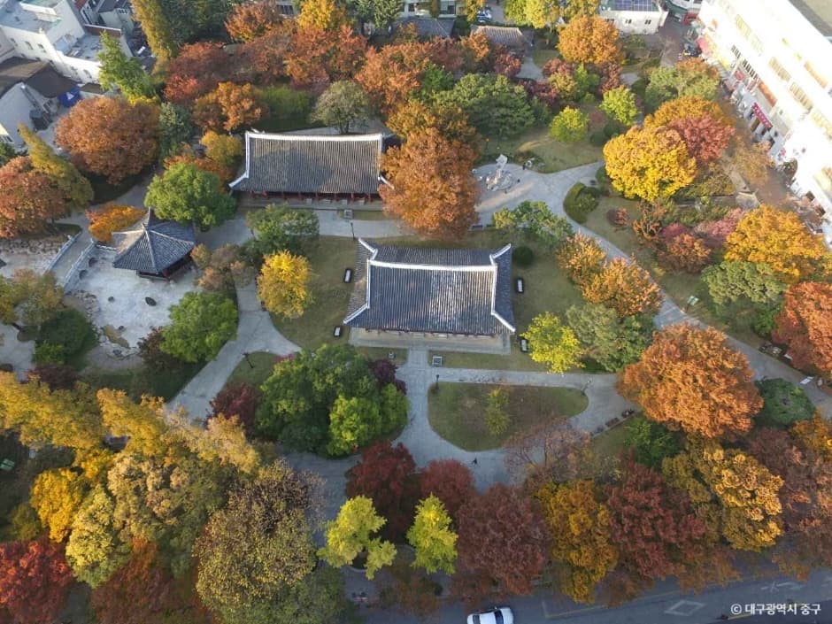 경상감영공원 반려견 동반 장소 이미지