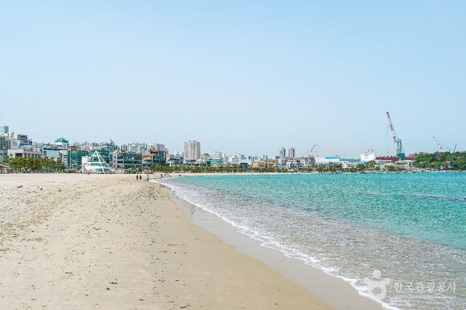일산해수욕장(울산) 반려견 동반 장소 이미지