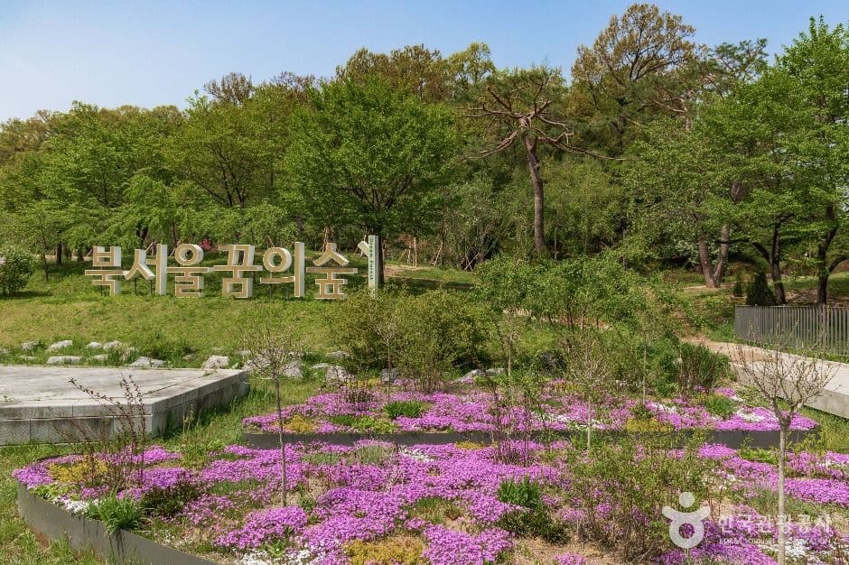 북서울꿈의숲 반려견 동반 장소 이미지