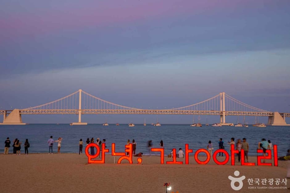 광안리해수욕장 반려견 동반 장소 이미지