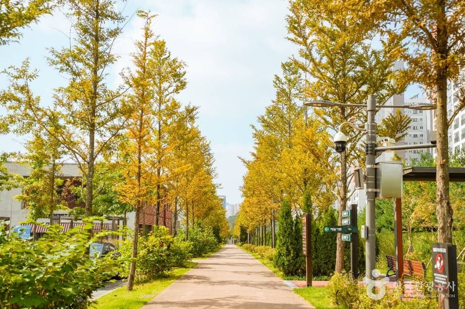 푸른수목원 반려견 동반 장소 이미지