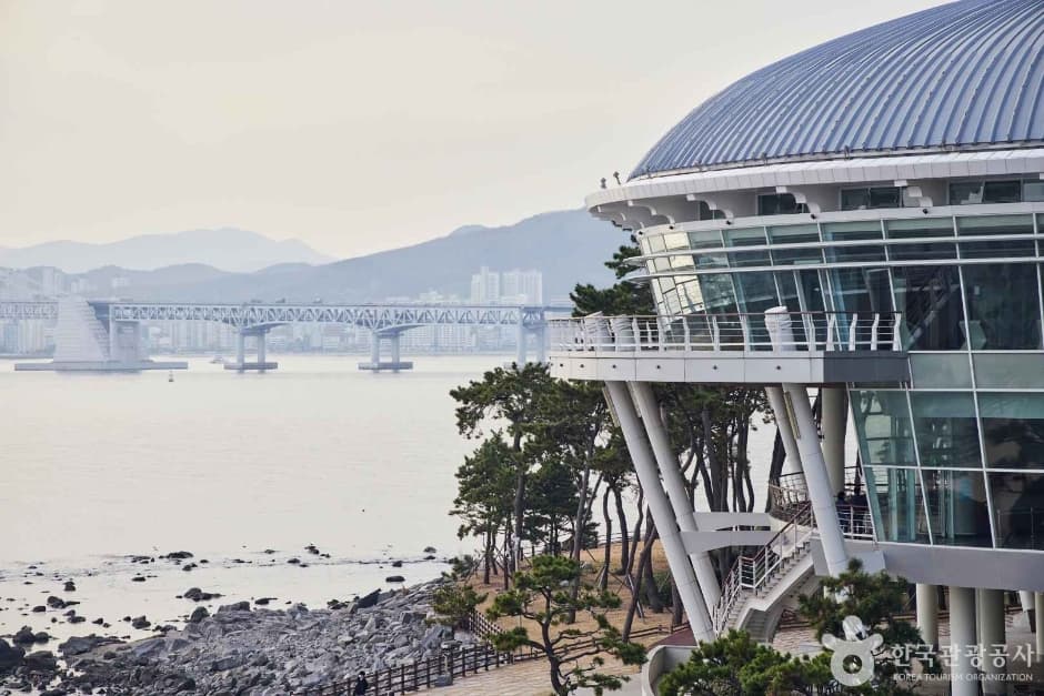 해운대 동백섬 반려견 동반 장소 이미지