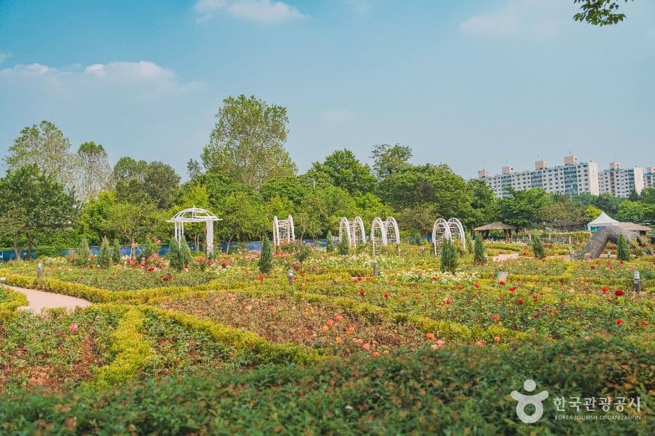 용산가족공원 반려견 동반 장소 이미지