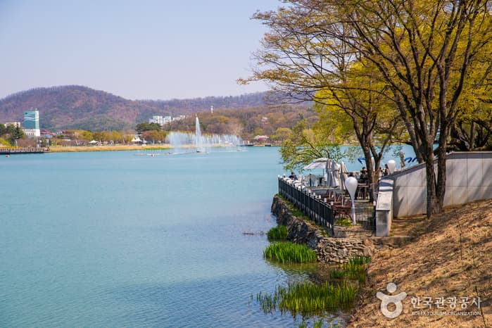 수성못 유원지 반려견 동반 장소 이미지