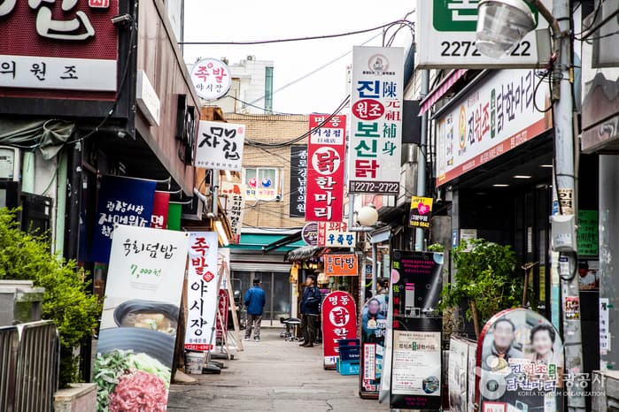 서울 동대문 닭한마리 골목 반려견 동반 장소 이미지