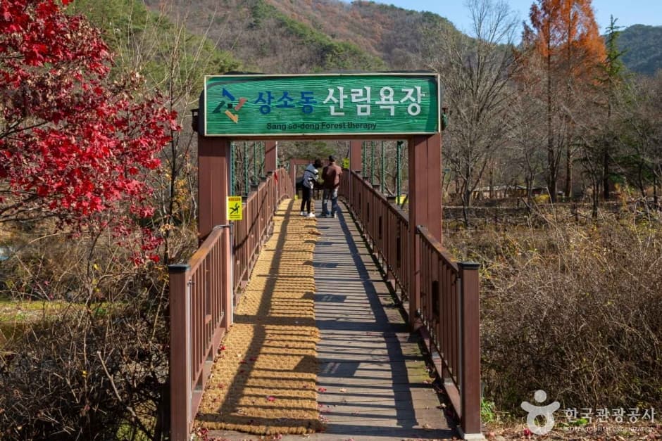 상소동 산림욕장 반려견 동반 장소 이미지
