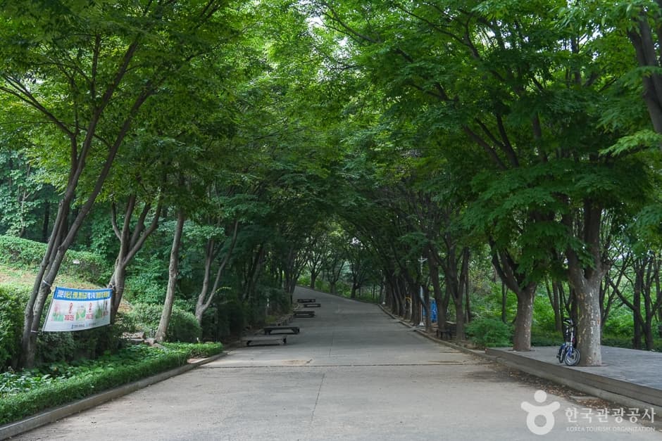 계양산 둘레길 반려견 동반 장소 이미지