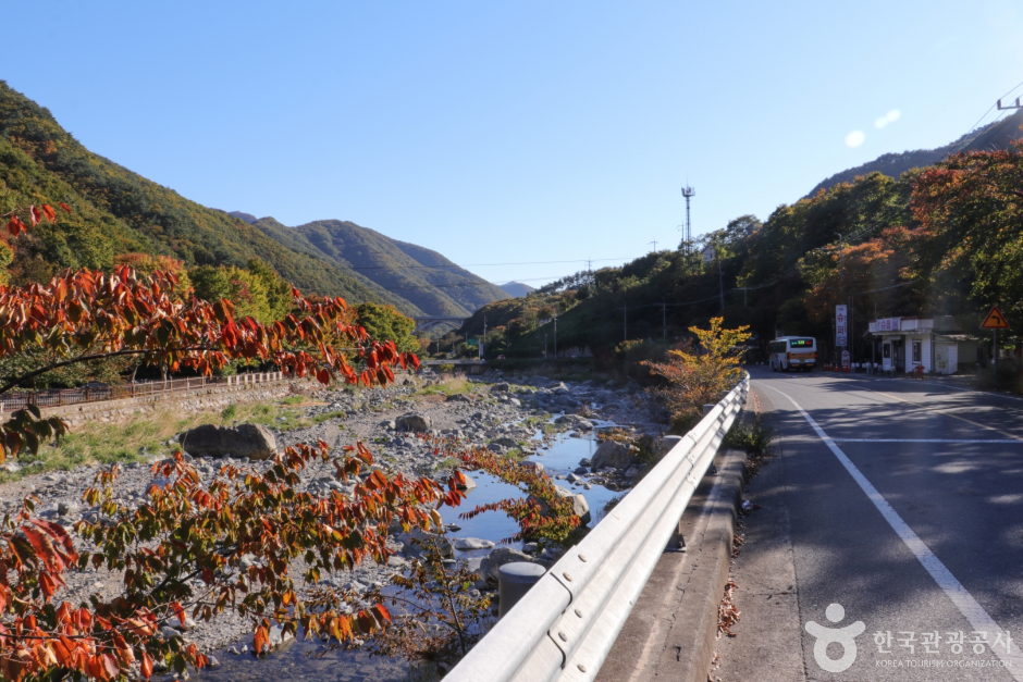 배내골(울산) 반려견 동반 장소 이미지