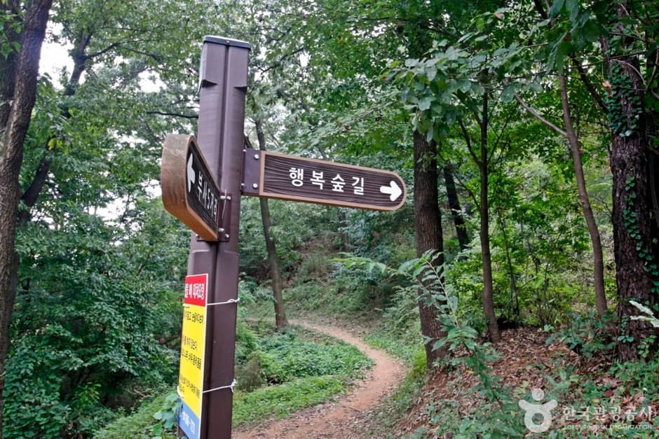 보문산 행복 숲 둘레길 반려견 동반 장소 이미지