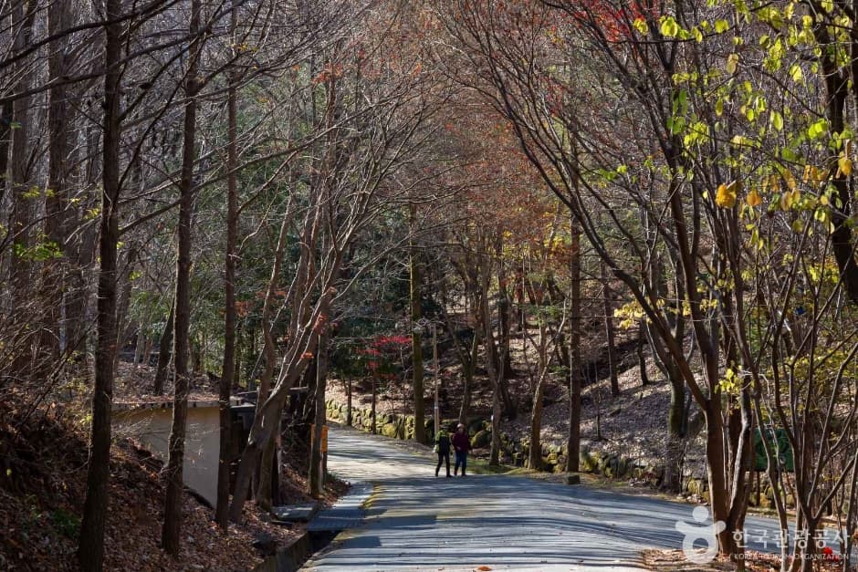 만인산 자연휴양림 반려견 동반 장소 이미지