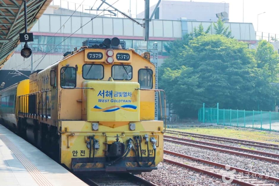 서해금빛열차 반려견 동반 장소 이미지