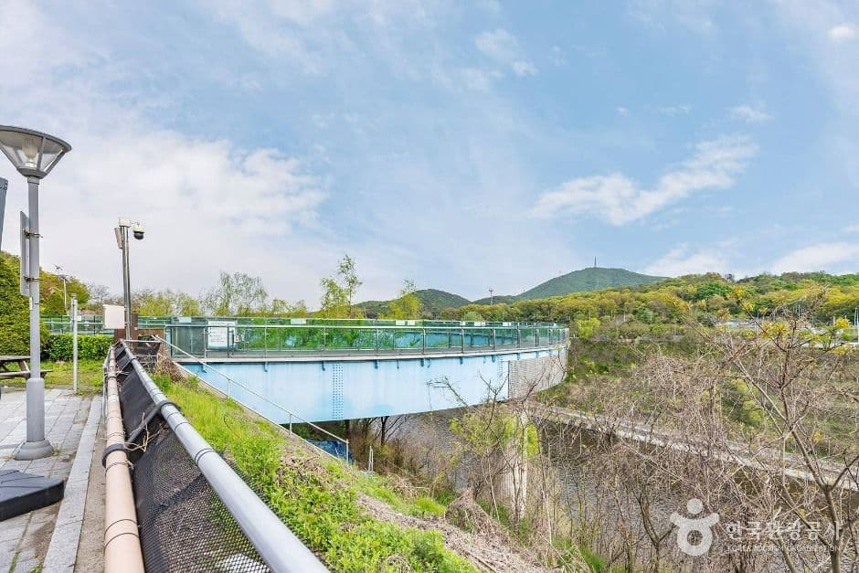 아라마루 전망대 반려견 동반 장소 이미지