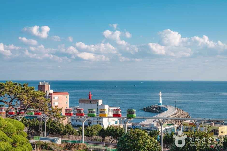 해운대 블루라인파크 반려견 동반 장소 이미지